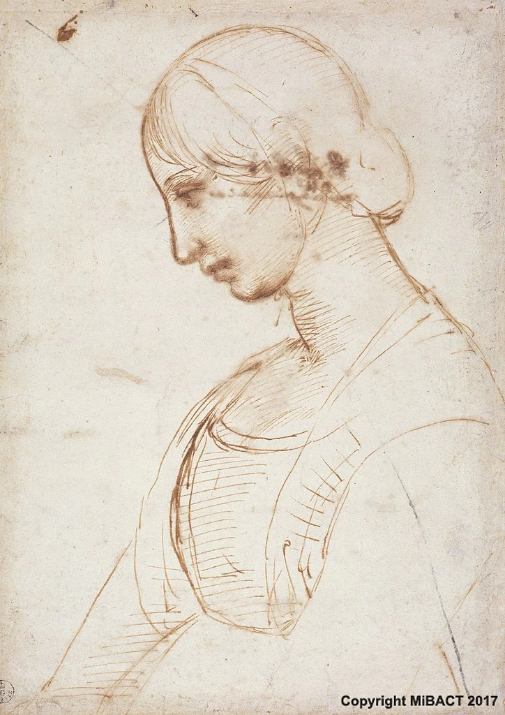 Sanzio - 338, Testa di donna di profilo, Gallerie degli Uffizi, Firenze